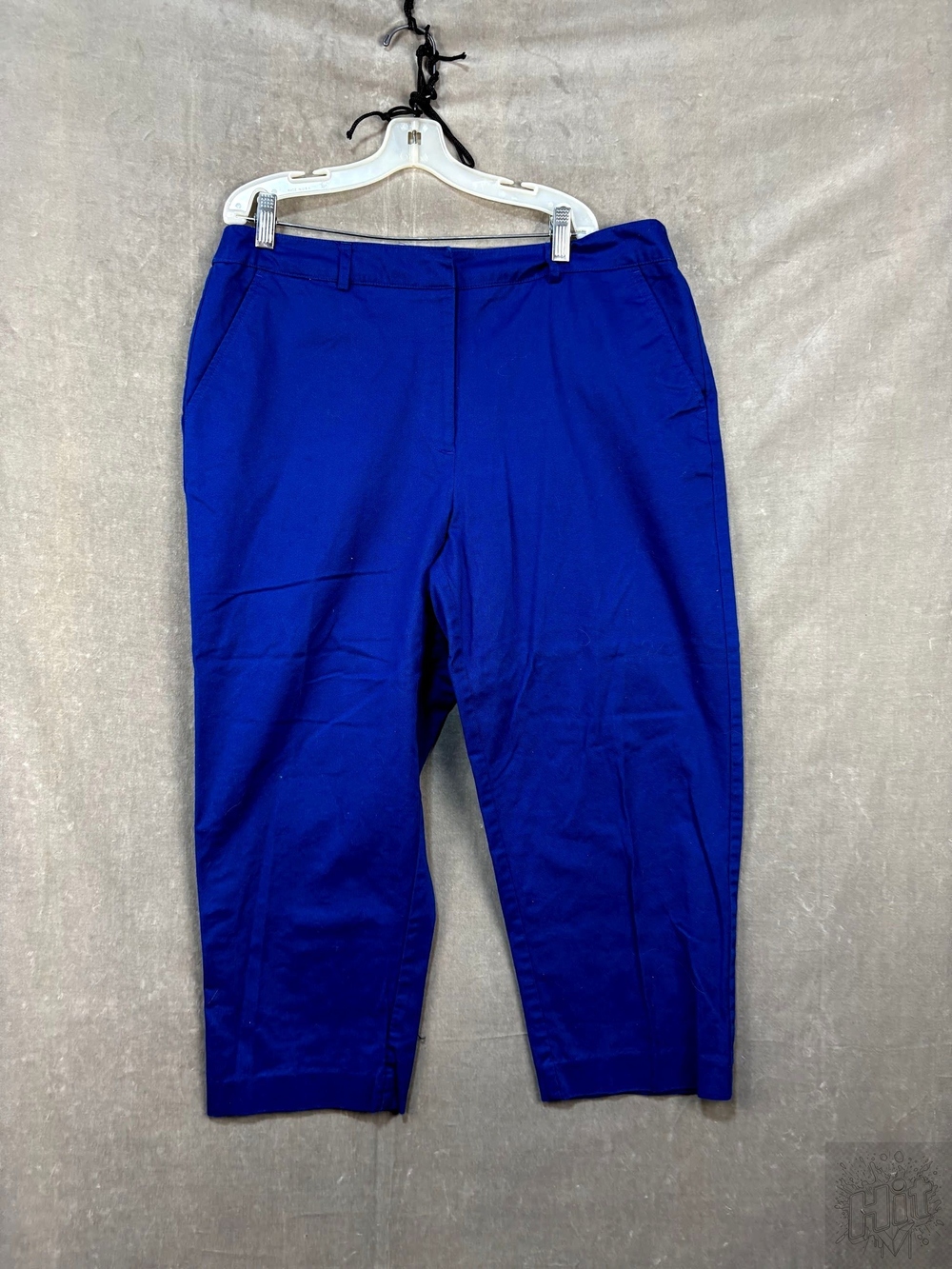 Kim Rogers Women's Blue Casual Pants Size 14